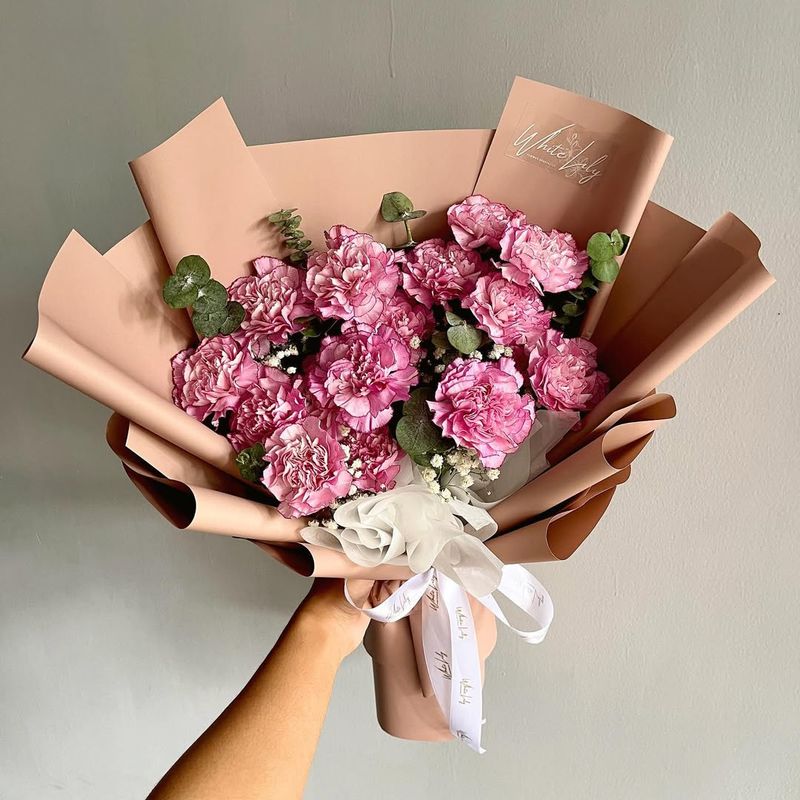 First Anniversary: Carnation