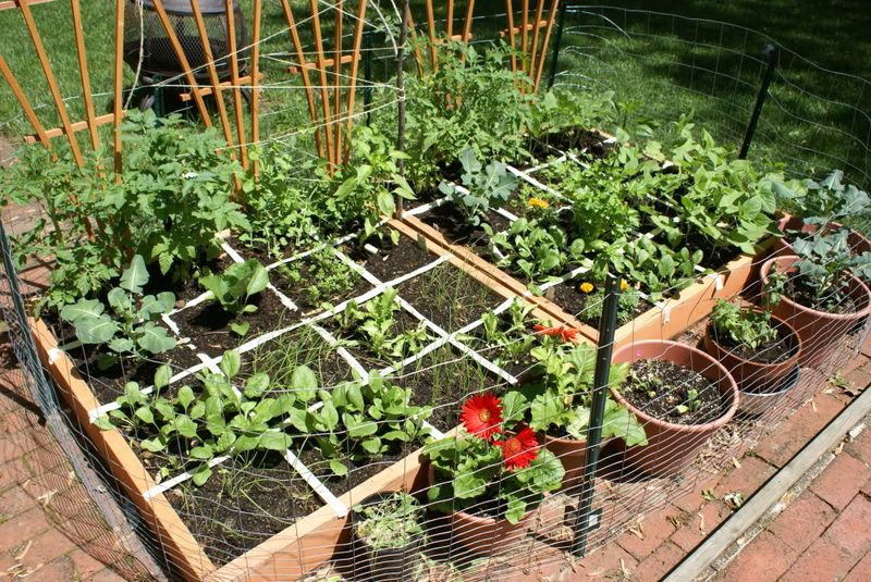 Square Foot Garden Method For Small Spaces