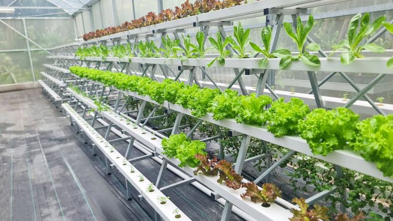 Applying Fertilizer on Strict Schedules