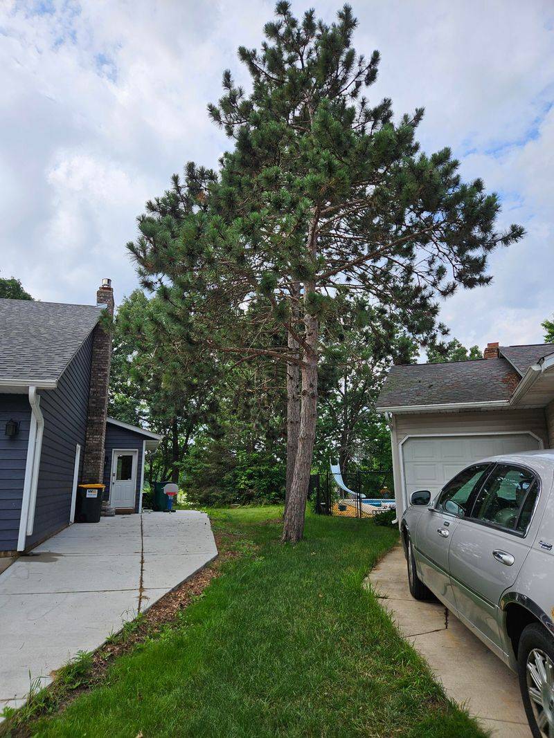 Communication Often Prevents Legal Battles