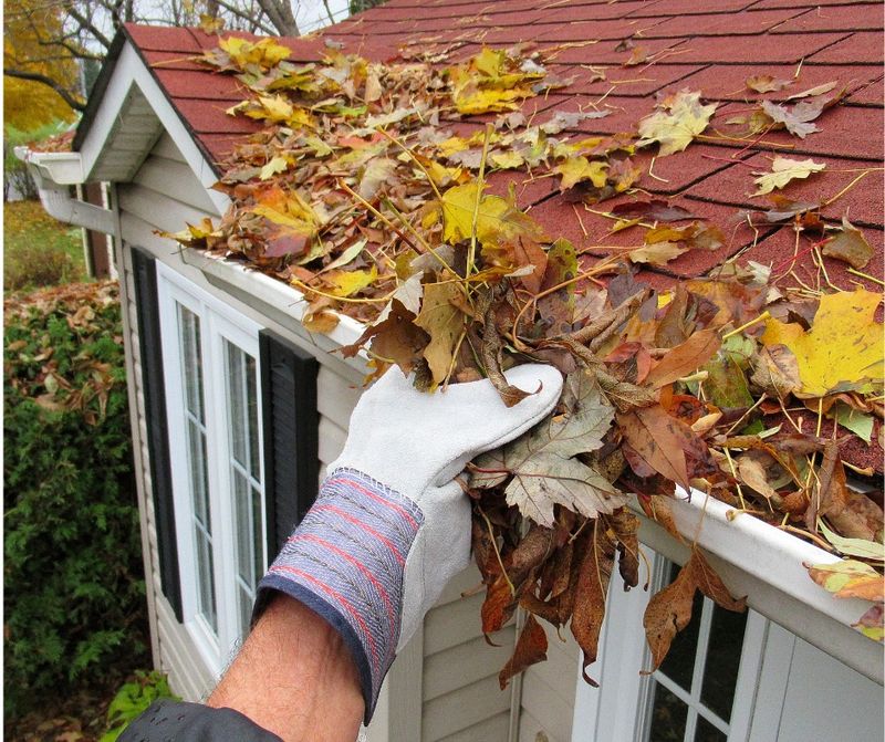Gutter Damage Might Change Responsibility