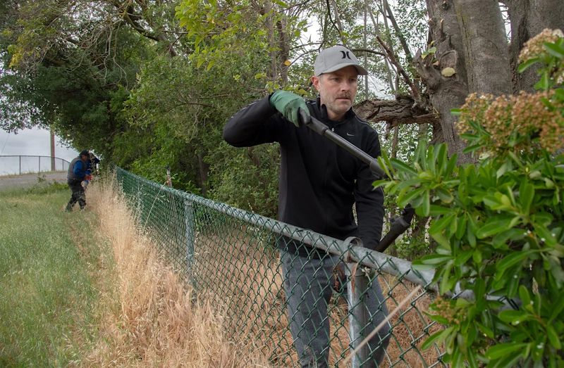 Branches Overhanging Your Property Can Be Trimmed