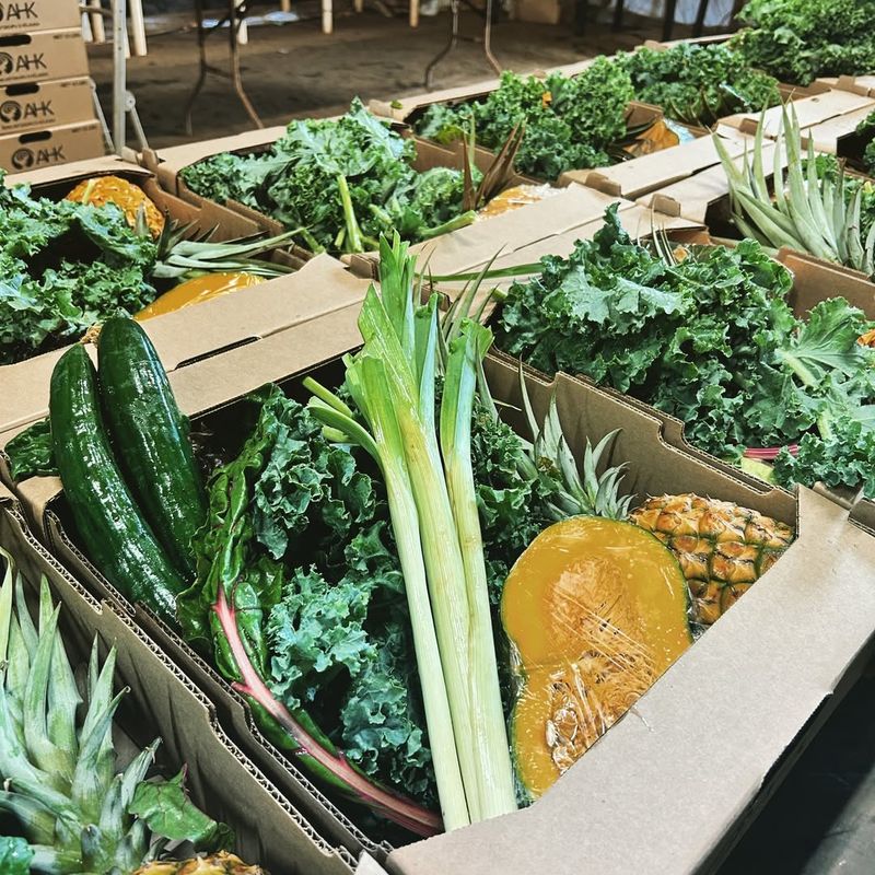 Food Gardens Build Community Connections