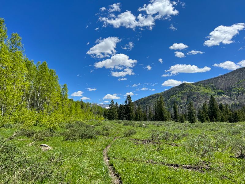 Routt National Forest