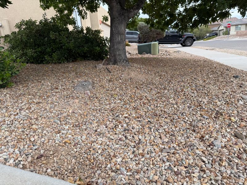 On Top of Sidewalks and Driveways