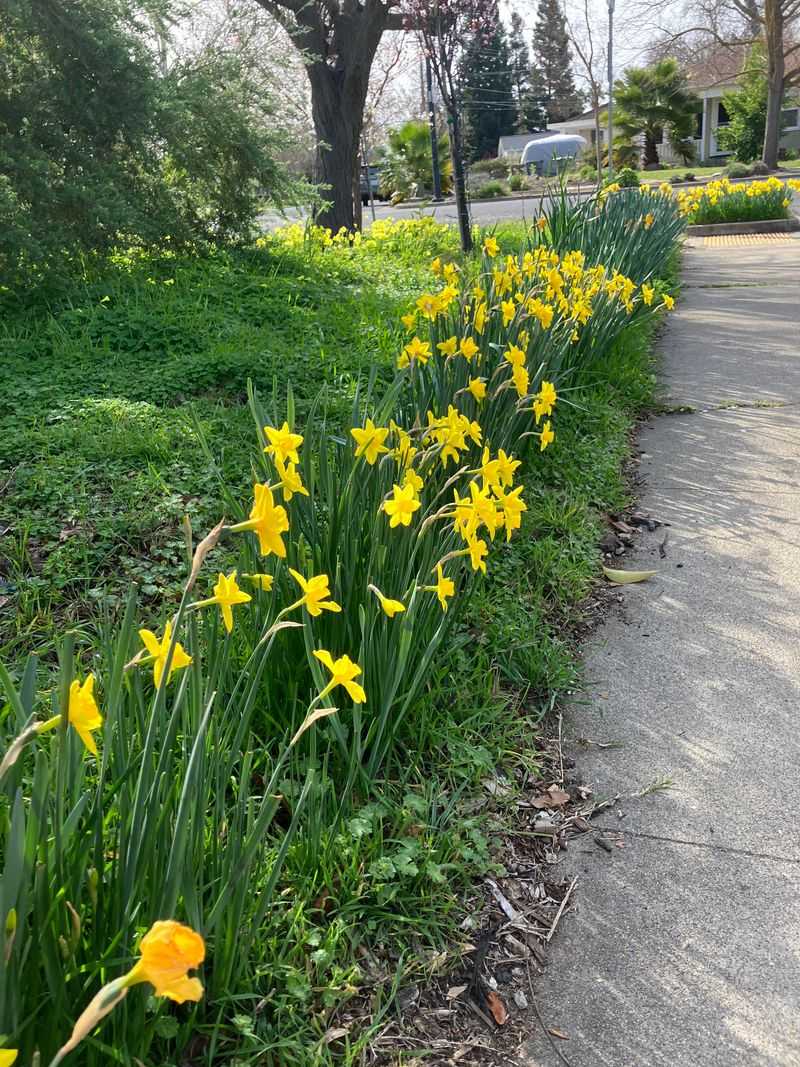 Document Everything With Photos And Dates