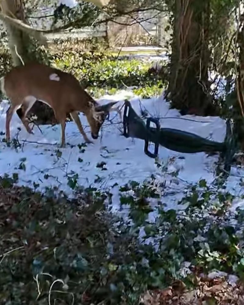 Know When To Contact Authorities