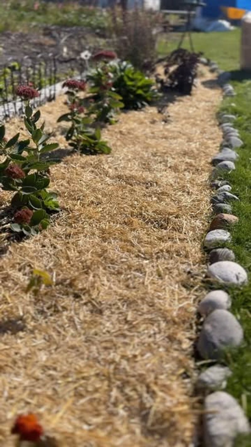 Thick Mulch Layers Create Natural Weed Barriers