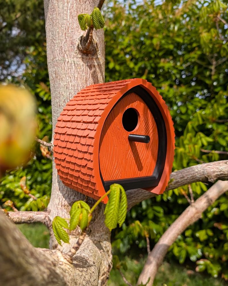 Smaller Wildlife Suddenly Disappears