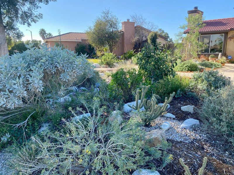 Water Conservation Reduces Utility Bills Significantly