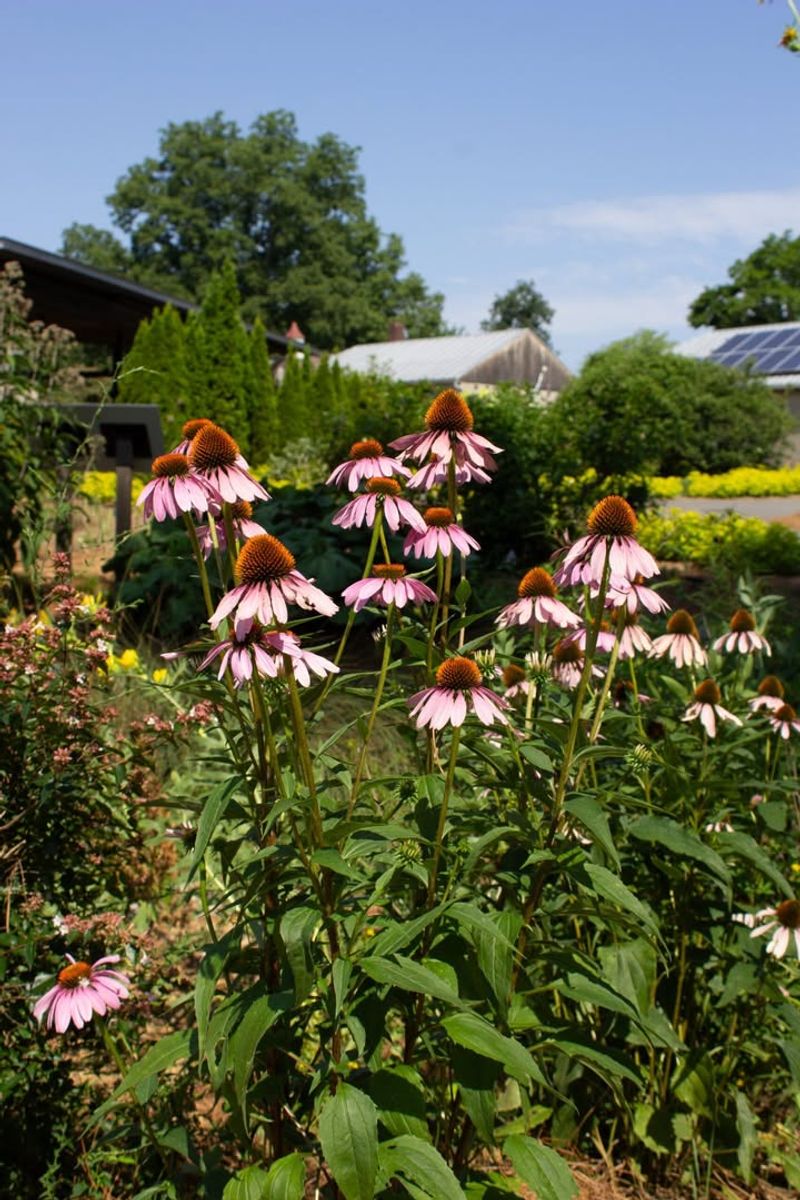 Engaging Events Bringing Garden Community Together