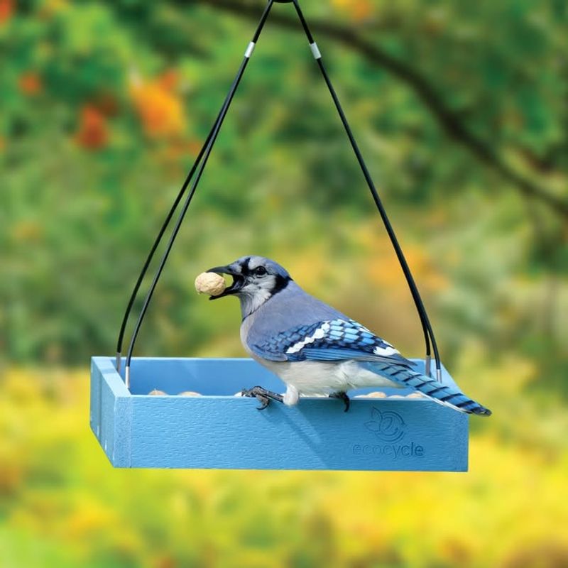 Territorial Behavior Drives Individual Food Security