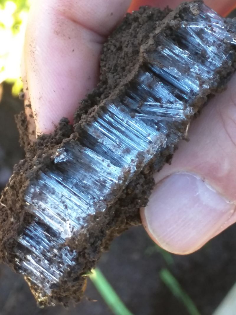 Rare Weather Conditions Create Perfect Ice Formation