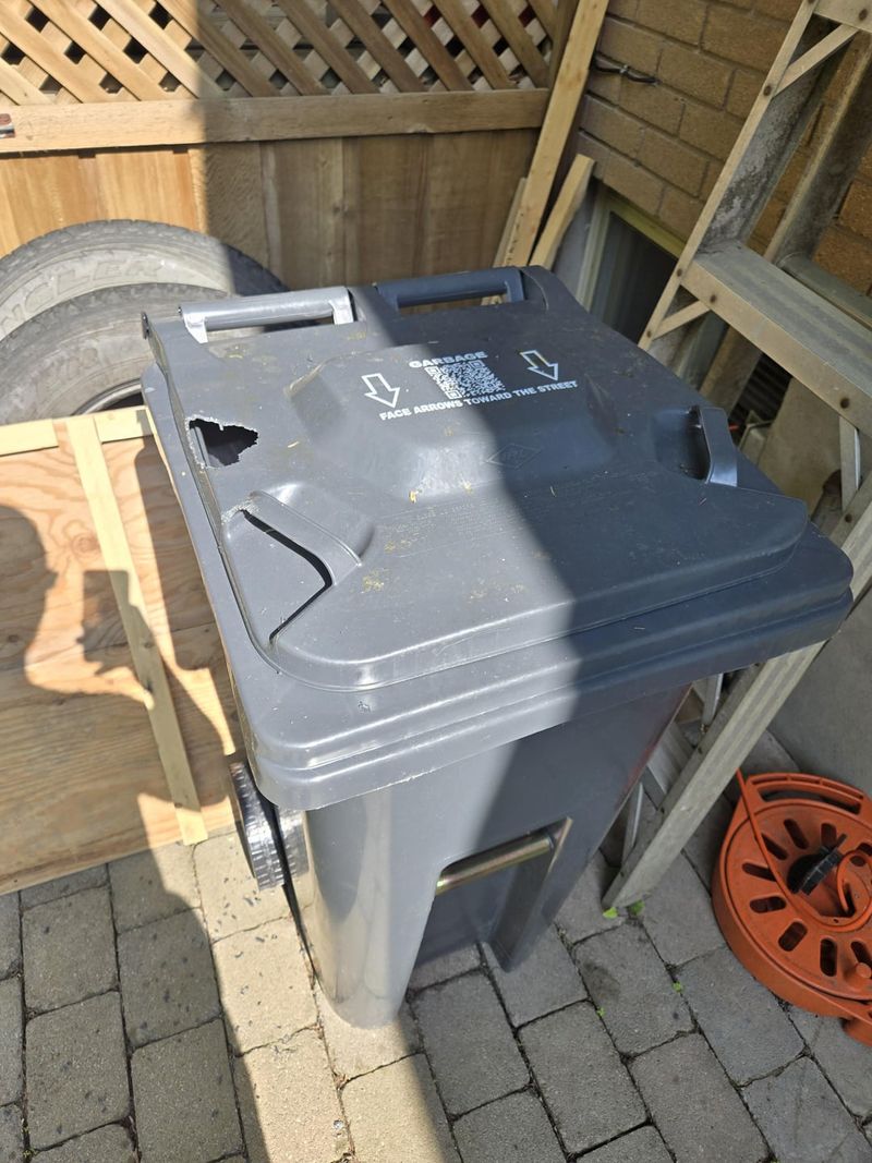 Missing Or Disturbed Garbage Can