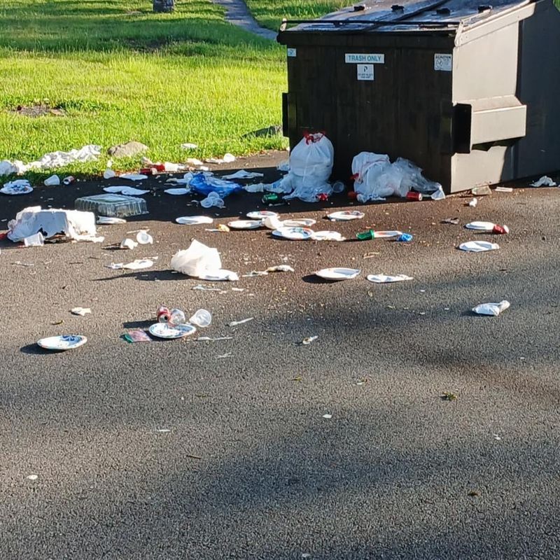 Damaged Garbage Cans And Scattered Trash