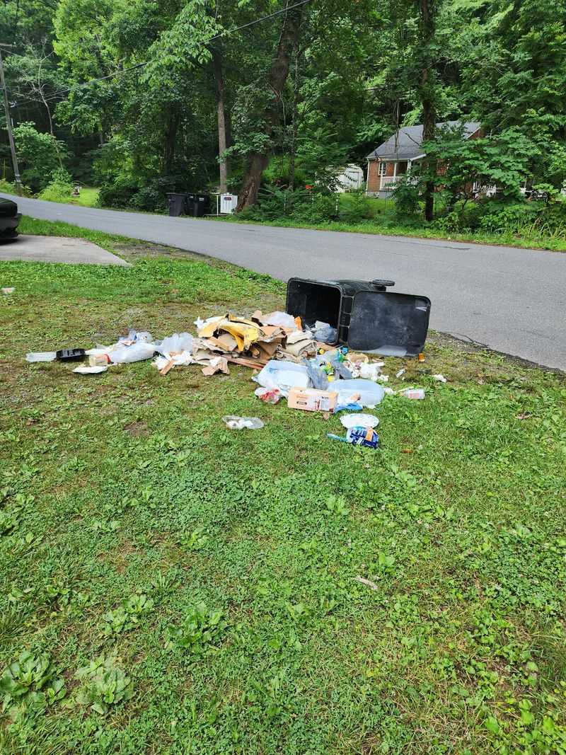 Disturbed Trash Cans Or Compost Bins