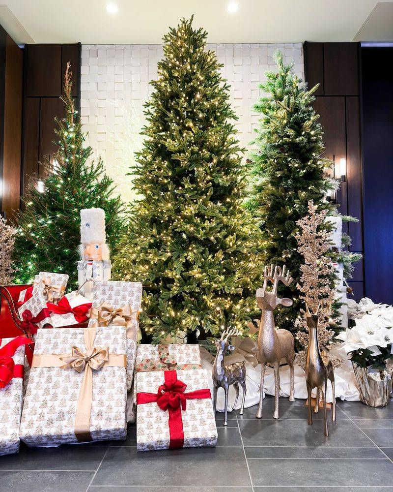 Multi‑Tree Clusters