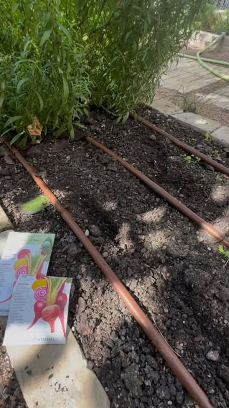 New Regulations Push for Stricter Soil Standards