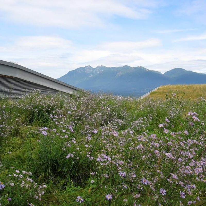 Biodiversity Support Creates Habitat for Pollinators