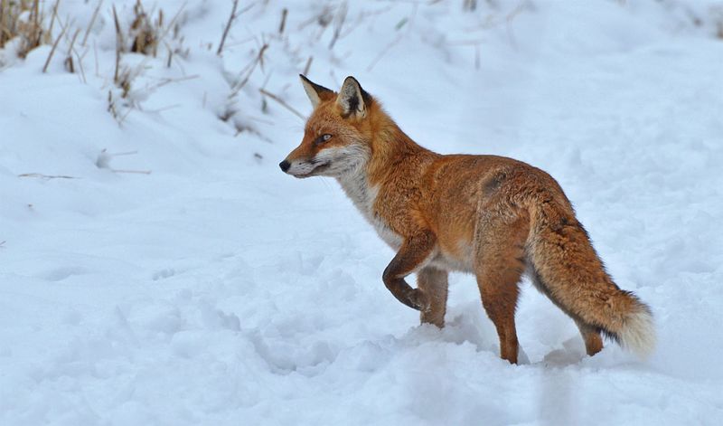 Reduced Human Activity During Cold Months