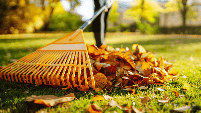 Create Mulch From Fallen Leaves And Grass Clippings