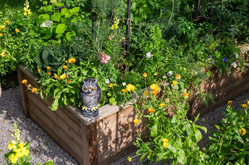 Avoid Pesticides And Herbicides