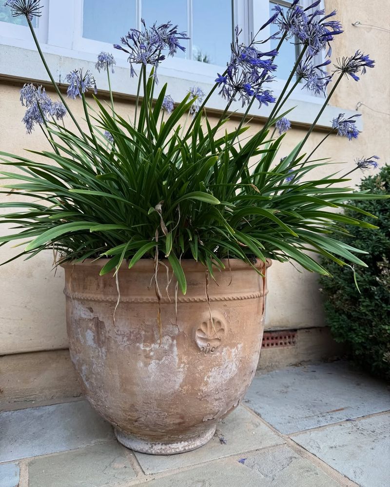 Choose Frost-Resistant Container Materials