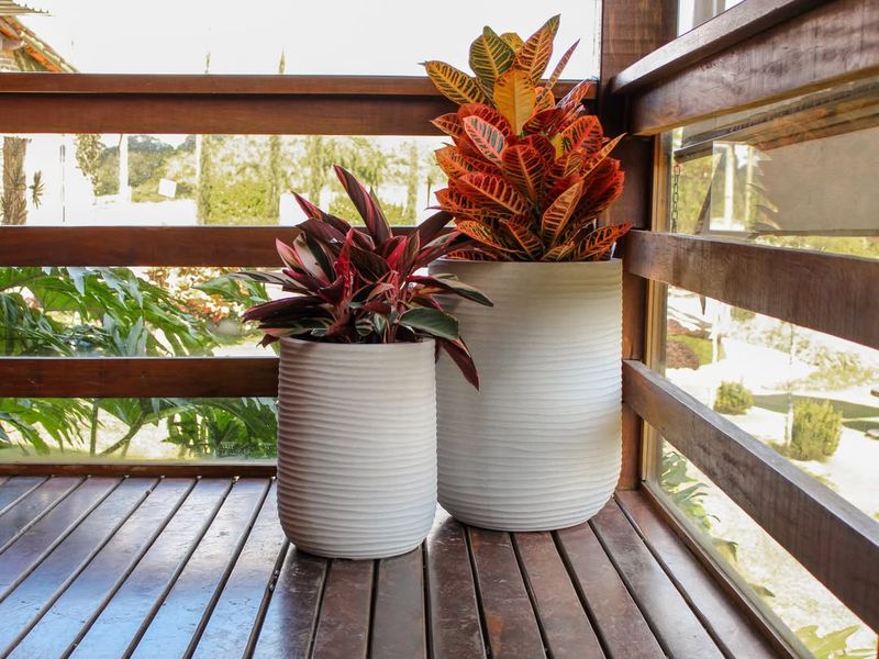 Choose Cold-Hardy Containers and Materials