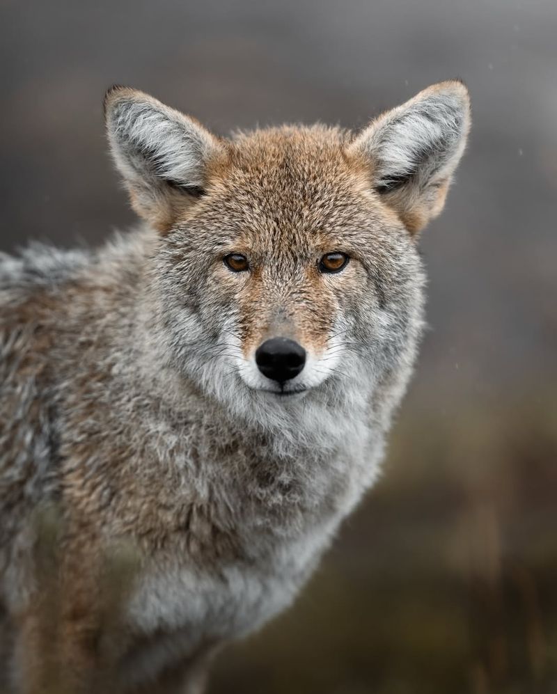 Maintain Eye Contact And Stand Tall