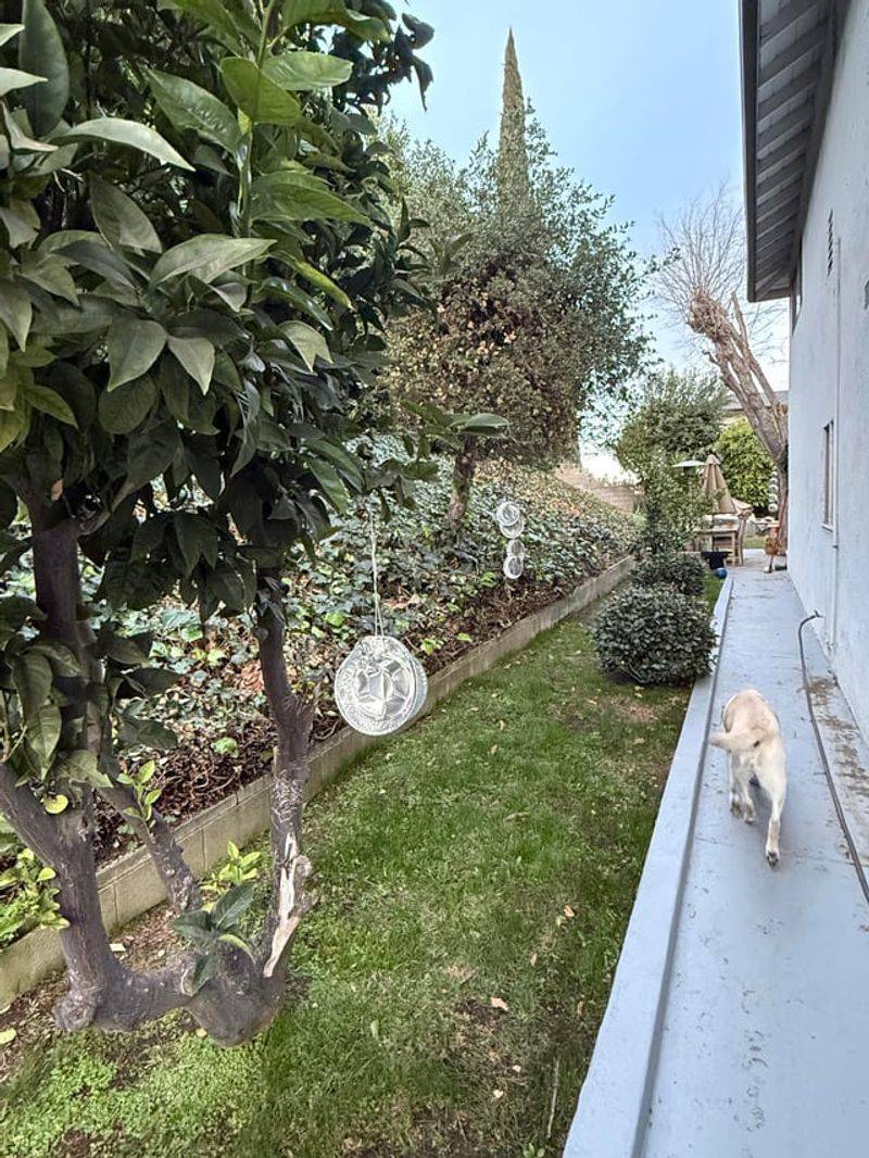 Create Noise Barriers