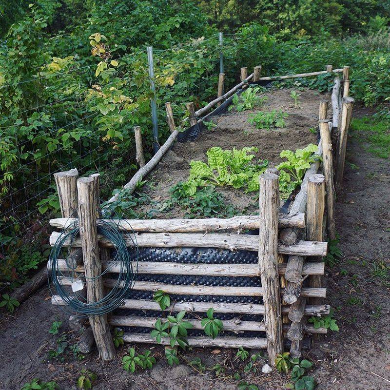 Secure Everything Before Planting