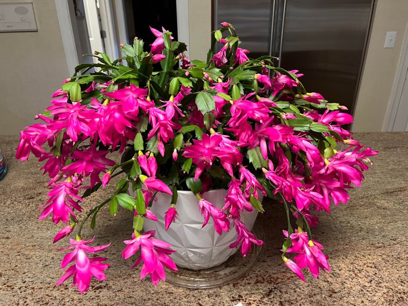 Adjust Frequency Based On Ohio's Indoor Humidity