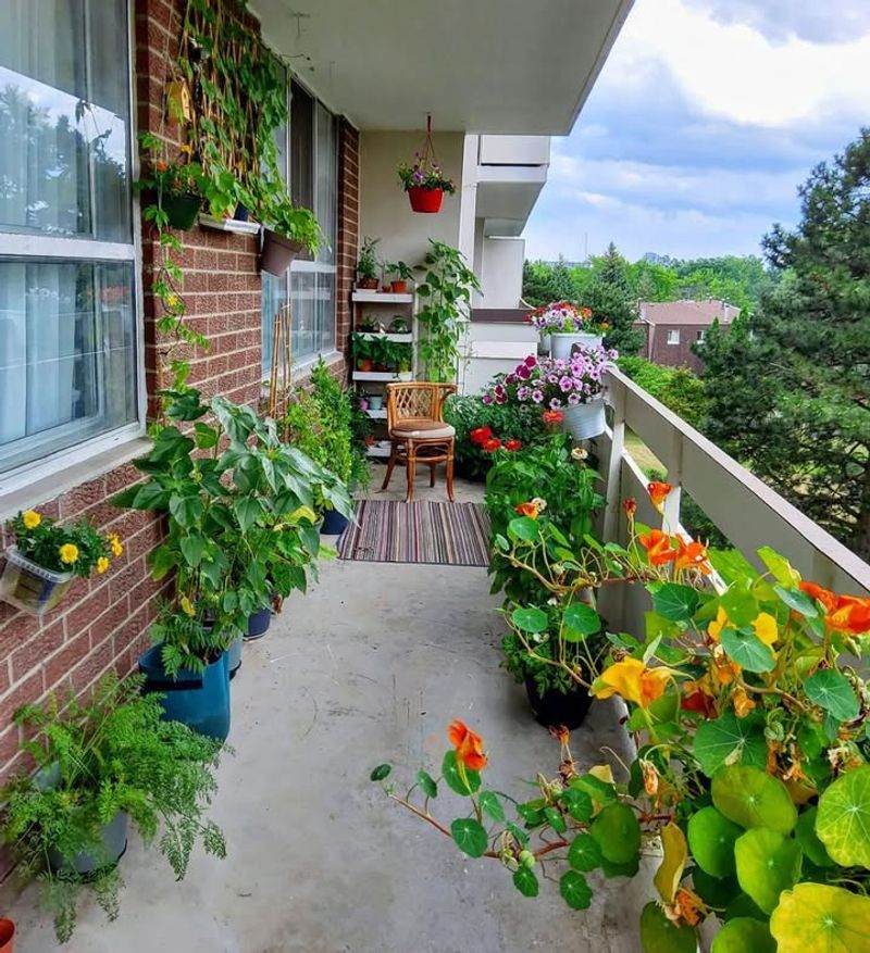 Plant Colorful Flowers To Boost Mood Naturally