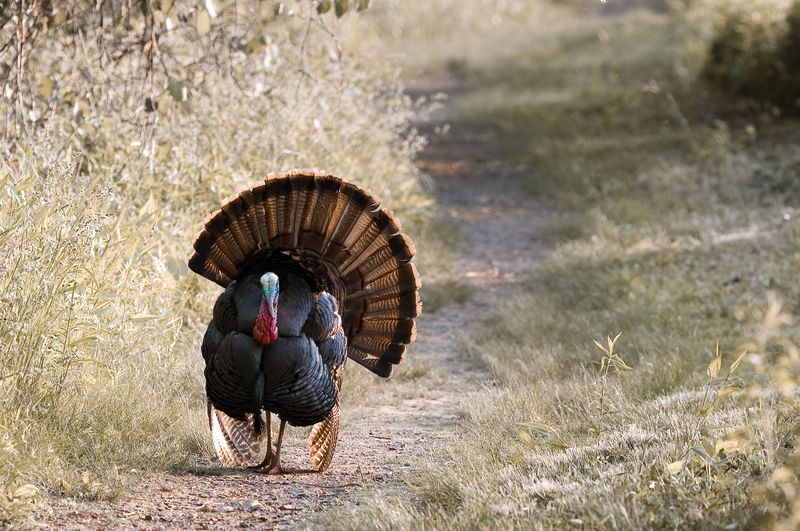 Report Aggressive Behavior To Local Authorities