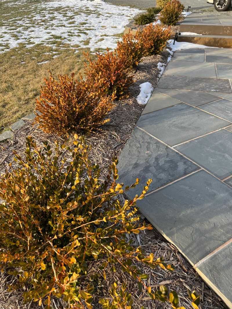 Forgetting About Chemical Splash from Car Tires