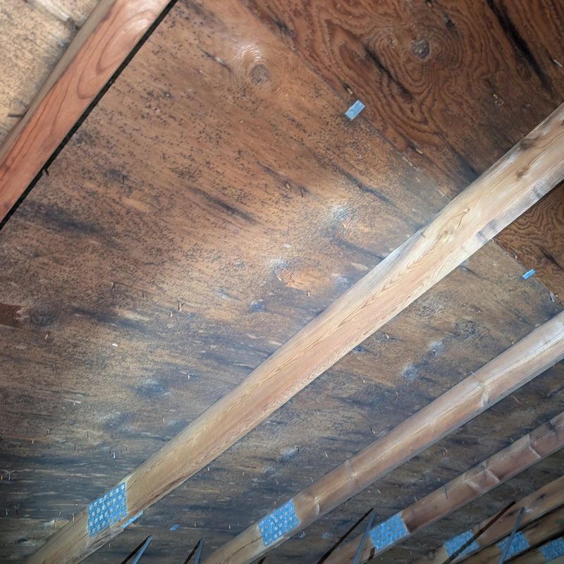 Overlooking Proper Ventilation in Attics and Crawl Spaces