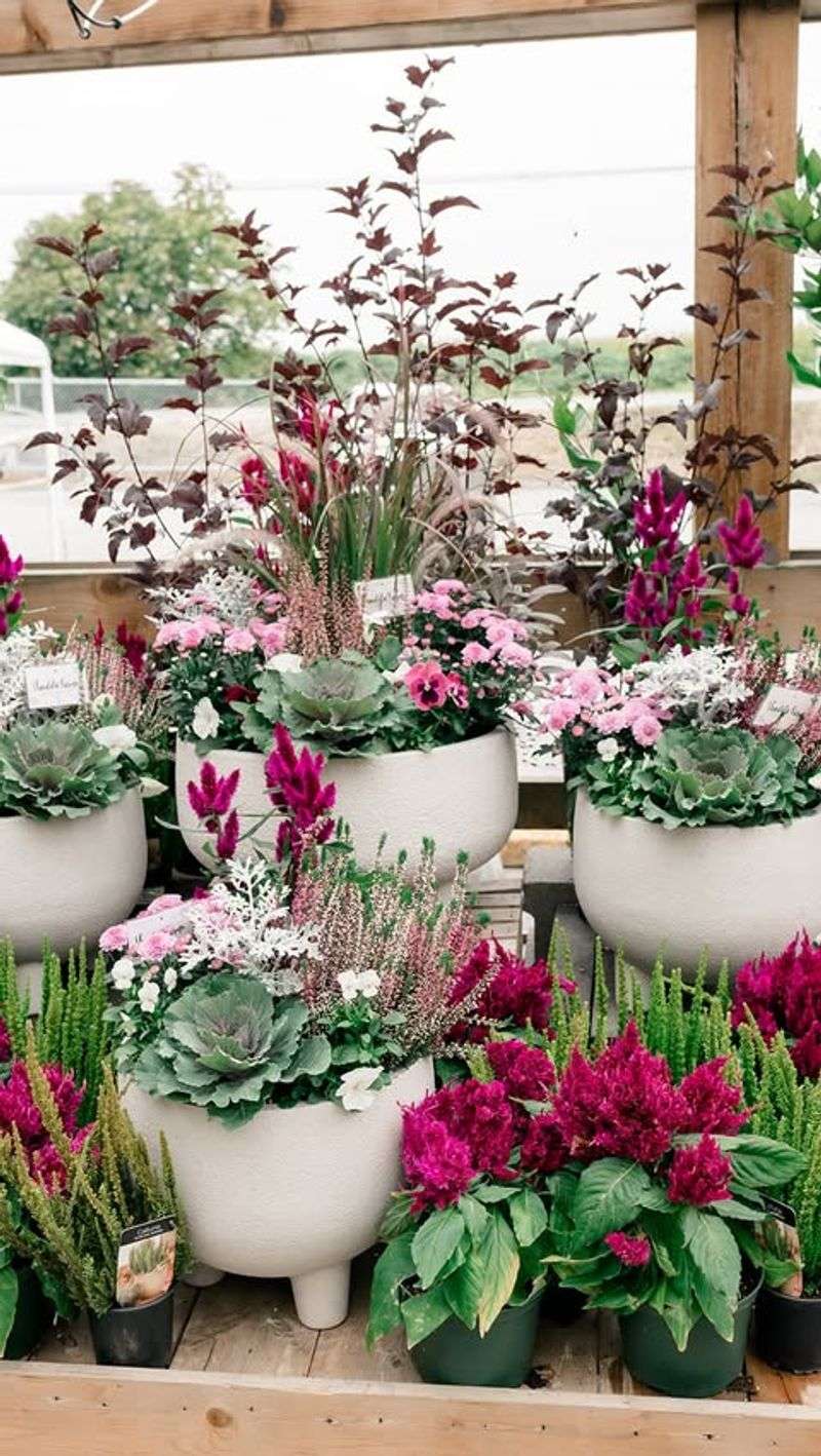 Adding Containers For Seasonal Color