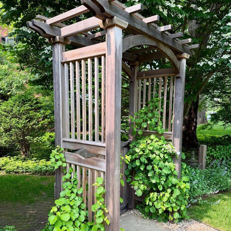 Adding Vertical Interest With Trellises Or Arbors