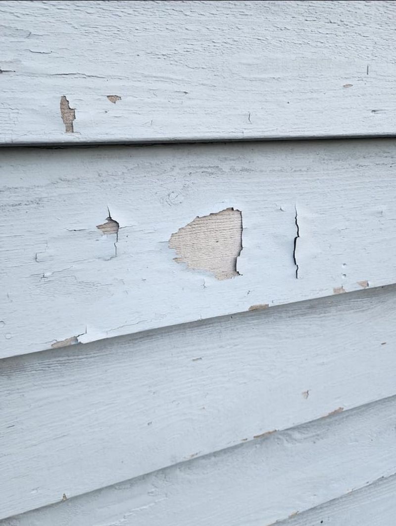Postponing Siding And Paint Repairs Until Spring