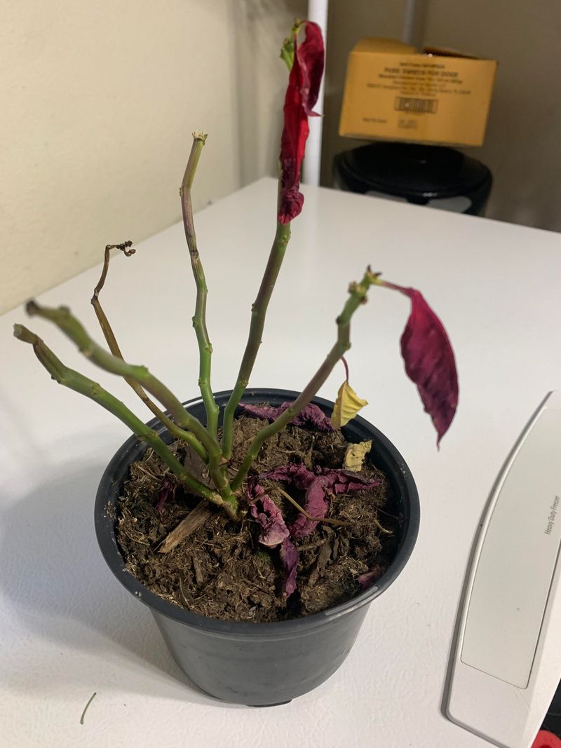 Forgetting About Humidity Needs