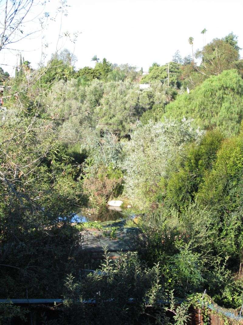 Plant Dense Vegetation Around Compost Areas