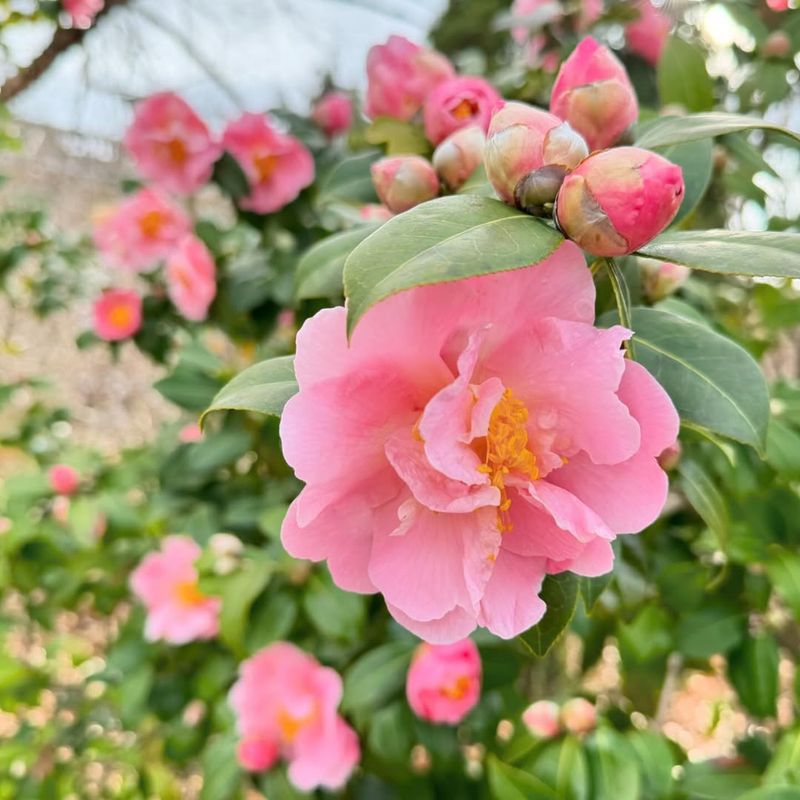 Educational Programs Teach Gardening Skills