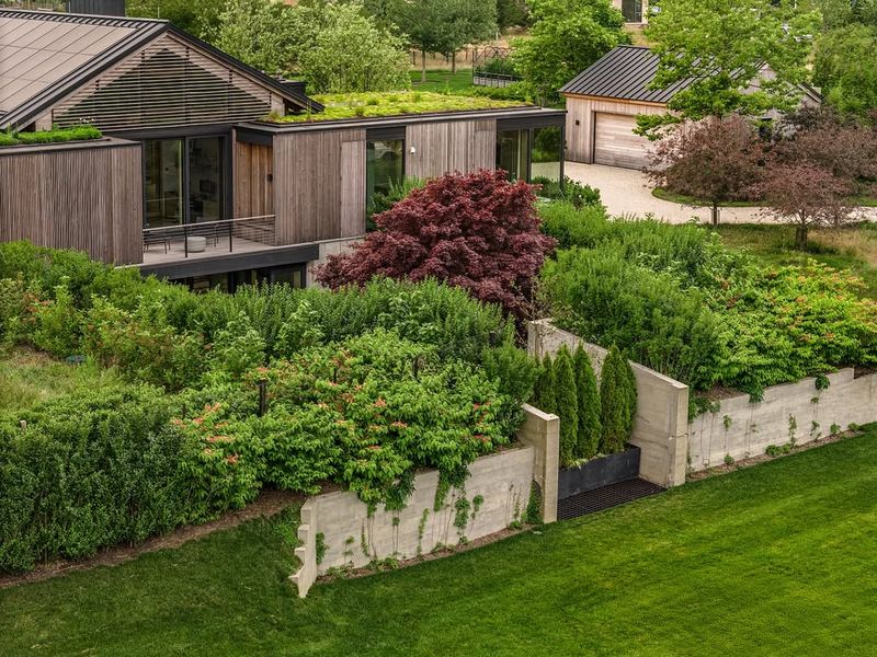 Minimalist Backyard Compositions