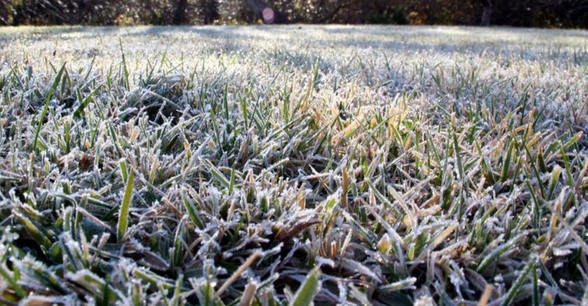 Vermont Homeowners Keep Spotting Odd Frost Patterns On Their Lawns