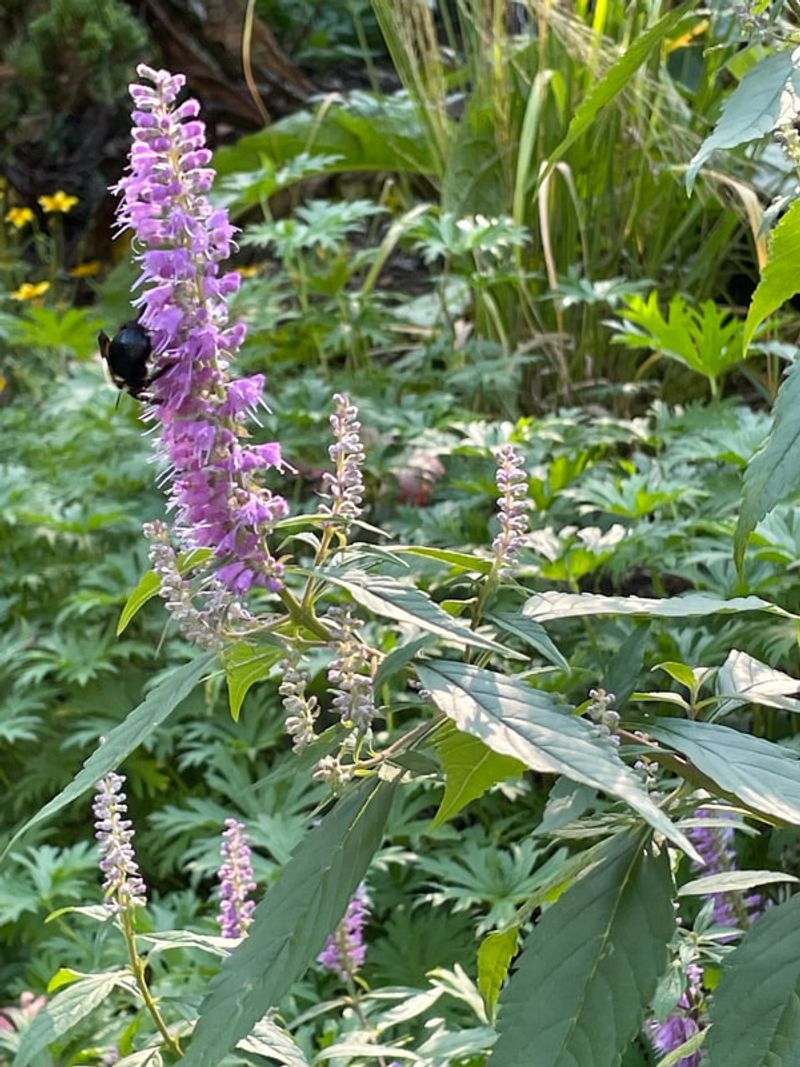 Handles South Carolina's Humidity Better Than Expected