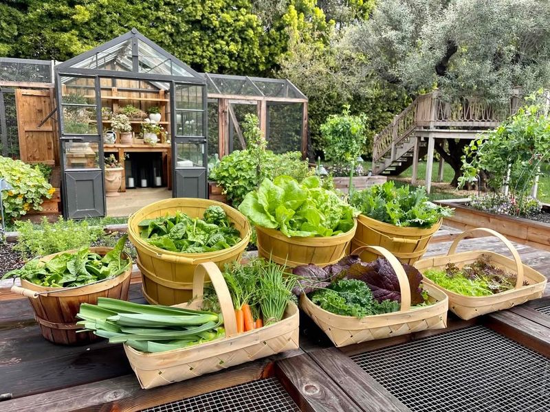 Edible Landscape Gardens