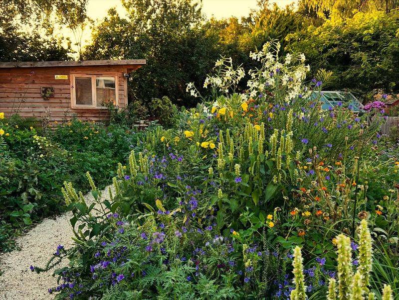 Old-Fashioned Flower Borders