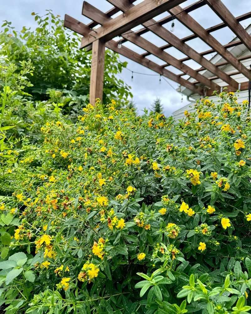 Different Cities Have Varying Measurement Standards