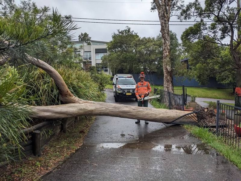 Negligence Changes Everything About Liability