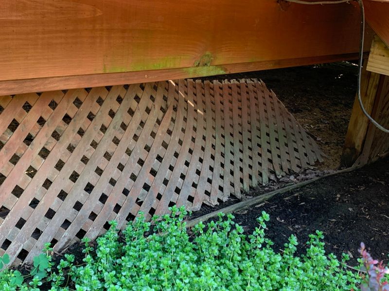 Disturbed Deck Lattice Or Foundation Openings